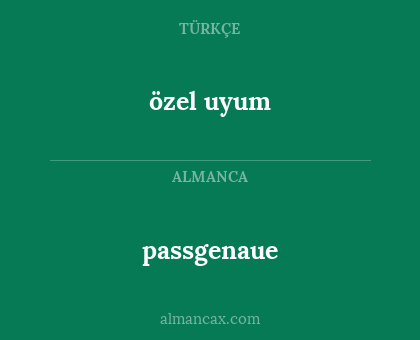 passgenaue - özel uyum