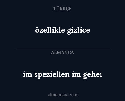 özellikle gizlice - im speziellen im gehei