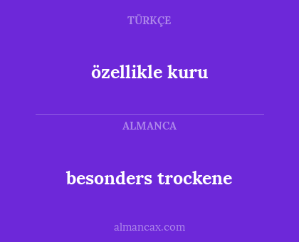 besonders trockene - özellikle kuru