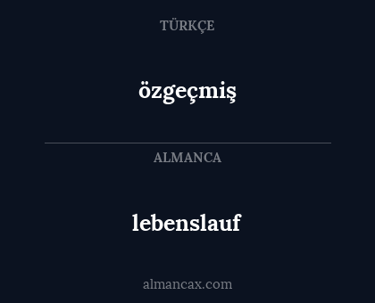 özgeçmiş - lebenslauf