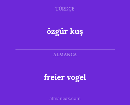 özgür kuş - freier vogel