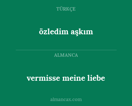 vermisse meine liebe - özledim aşkım
