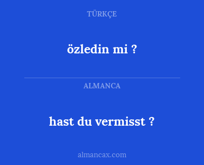 özledin mi ? - hast du vermisst ?