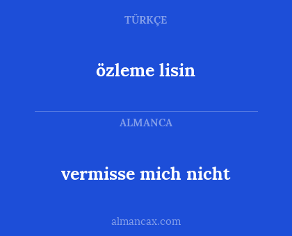 vermisse mich nicht - özleme lisin
