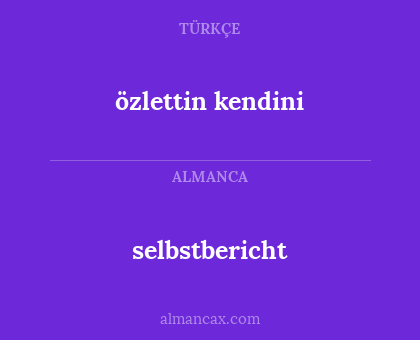 selbstbericht - özlettin kendini