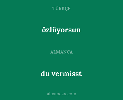 du vermisst - özlüyorsun