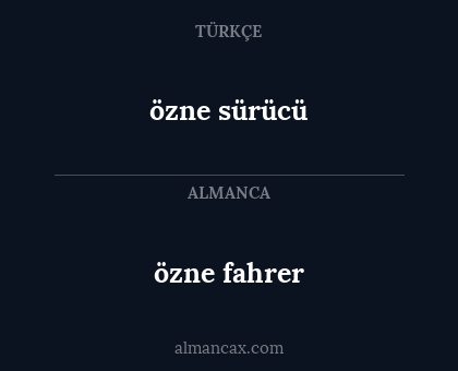 özne fahrer - özne sürücü
