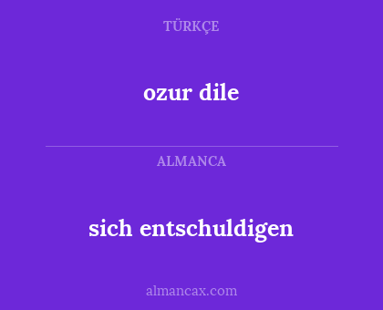 ozur dile - sich entschuldigen