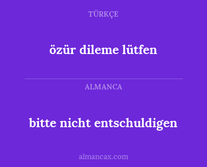 bitte nicht entschuldigen - özür dileme lütfen