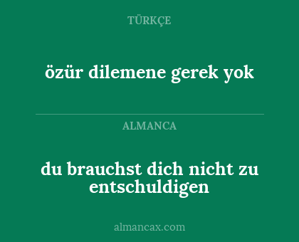 özür dilemene gerek yok - du brauchst dich nicht zu entschuldigen