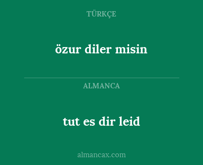 özur diler misin - tut es dir leid
