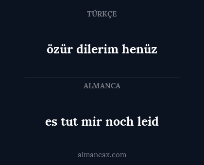 es tut mir noch leid - özür dilerim henüz