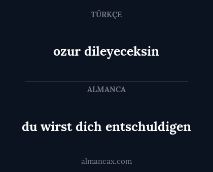 du wirst dich entschuldigen - ozur dileyeceksin