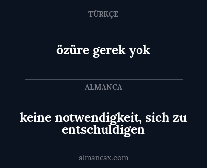 keine notwendigkeit, sich zu entschuldigen - özüre gerek yok