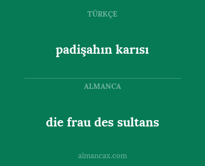 die frau des sultans - padişahın karısı