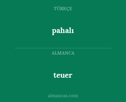 teuer - pahalı
