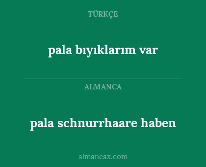 pala bıyıklarım var - pala schnurrhaare haben