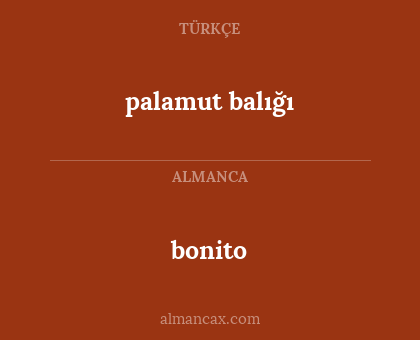 palamut balığı - bonito