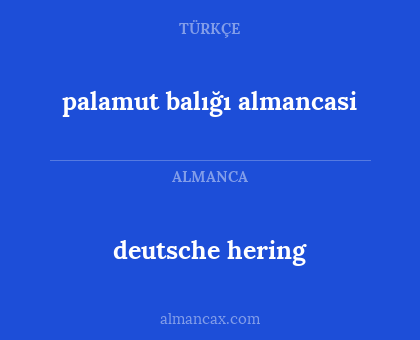 deutsche hering - palamut balığı almancasi