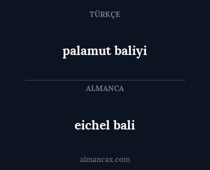 eichel bali - palamut baliyi