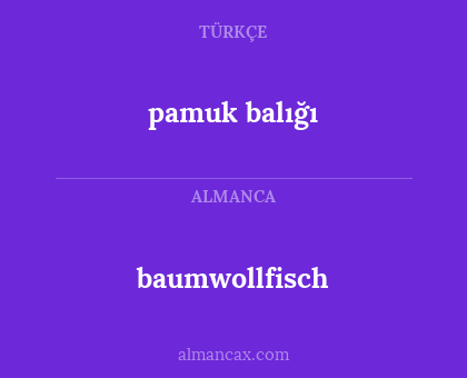 baumwollfisch - pamuk balığı