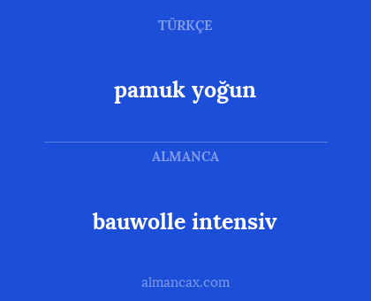 pamuk yoğun - bauwolle intensiv