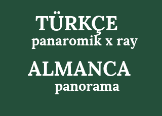 panaromik+x+ray-panorama-r%C3%B6ntgenaufnahme.png