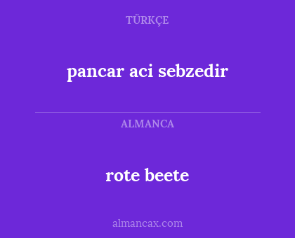 rote beete - pancar aci sebzedir