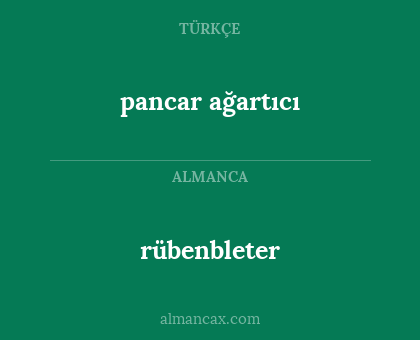 rübenbleter - pancar ağartıcı