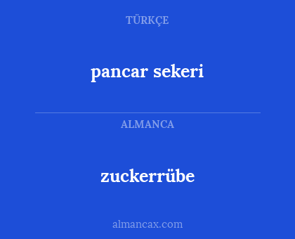 zuckerrübe - pancar sekeri