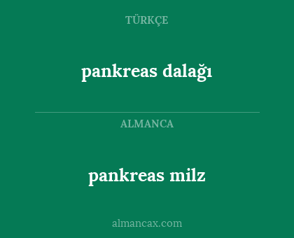 pankreas dalağı - pankreas milz