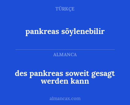 pankreas söylenebilir - des pankreas soweit gesagt werden kann