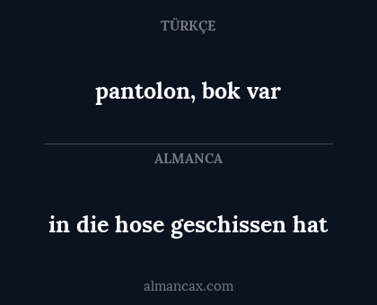 pantolon, bok var - in die hose geschissen hat