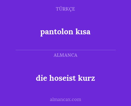 pantolon kısa - die hoseist kurz