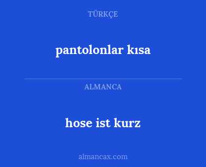 pantolonlar kısa - hose ist kurz
