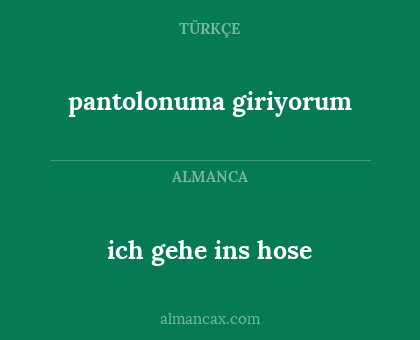 pantolonuma giriyorum - ich gehe ins hose