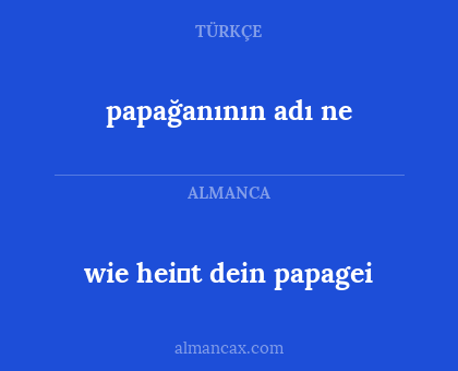 wie heiβt dein papagei - papağanının adı ne