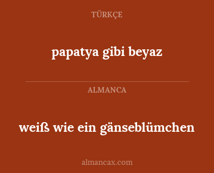 papatya gibi beyaz - weiß wie ein gänseblümchen