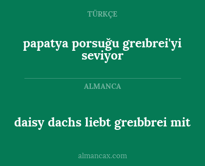 daisy dachs liebt greıbbrei mit - papatya porsuğu greıbrei'yi seviyor