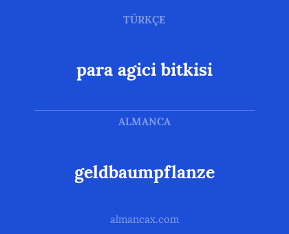 geldbaumpflanze - para agici bitkisi