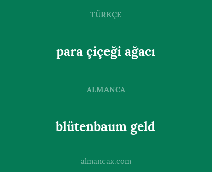 para çiçeği ağacı - blütenbaum geld