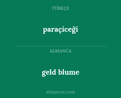 paraçiceği - geld blume