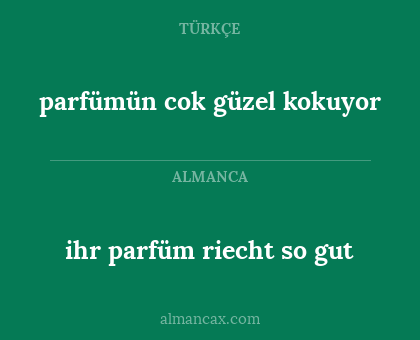 ihr parfüm riecht so gut - parfümün cok güzel kokuyor