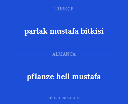pflanze hell mustafa - parlak mustafa bitkisi