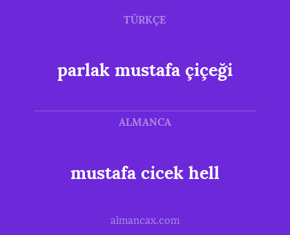 mustafa cicek hell - parlak mustafa çiçeği