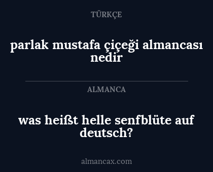 was heißt helle senfblüte auf deutsch? - parlak mustafa çiçeği almancası nedir