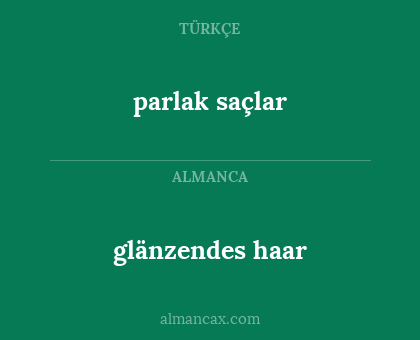 glänzendes haar - parlak saçlar
