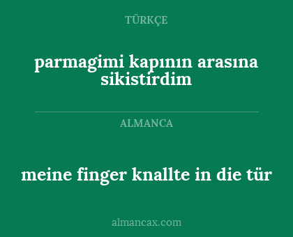 parmagimi kapının arasına sikistirdim - meine finger knallte in die tür