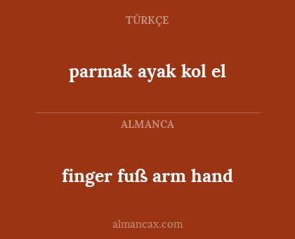 parmak ayak kol el - finger fuß arm hand