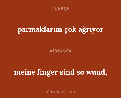 parmaklarım çok ağrıyor - meine finger sind so wund,